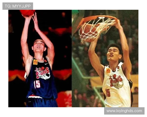 姚明大三赛季的辉煌表现与未来篮球生涯的启航之路